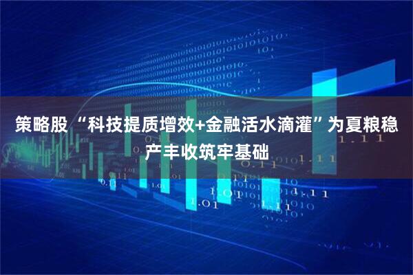 策略股 “科技提质增效+金融活水滴灌”为夏粮稳产丰收筑牢基础