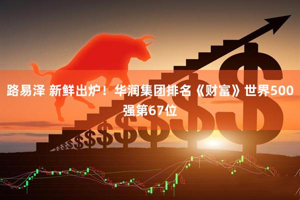 路易泽 新鲜出炉！华润集团排名《财富》世界500强第67位